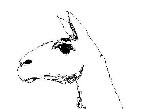 drawn llama